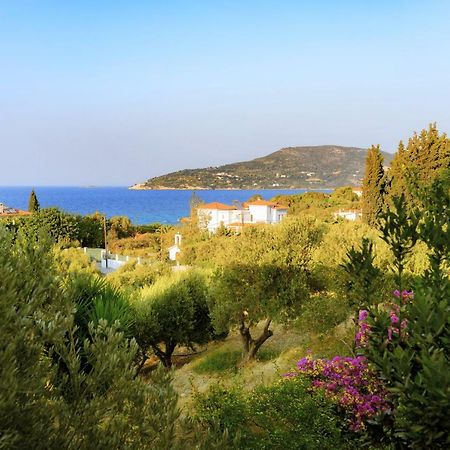 Kedros Hotel Samos Island Εξωτερικό φωτογραφία