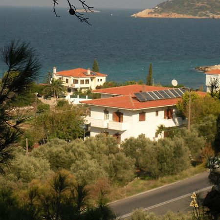 Kedros Hotel Samos Island Εξωτερικό φωτογραφία